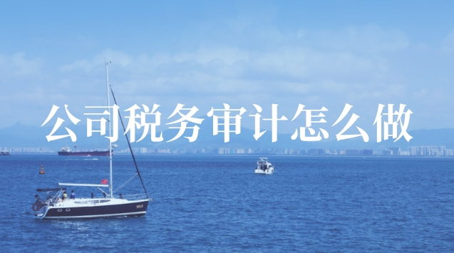 公司税务审计如何申请(公司税务审计如何办理)