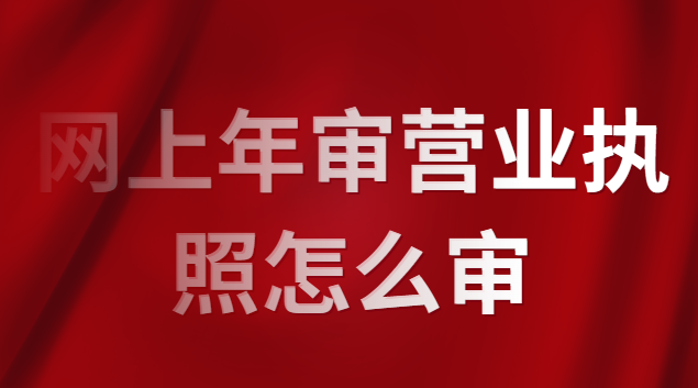 怎么查营业执照审没审(审营业执照怎么审视频)