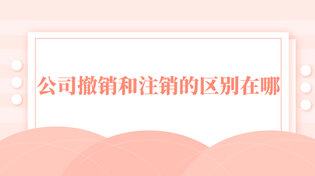 公司撤销与注销的区别是什么(许可证吊销注销和撤销的区别)