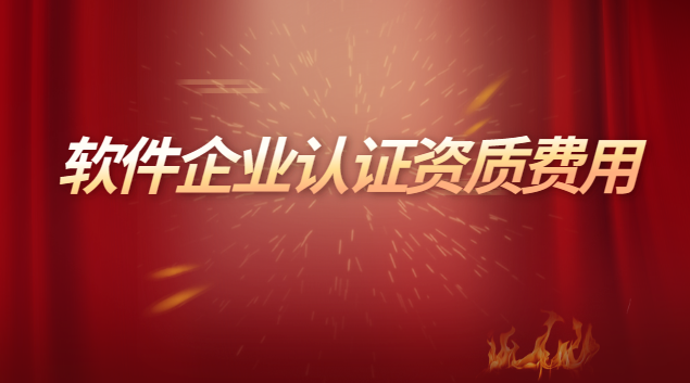 办理软件开发服务资质认证费用(软件企业认证资质所需材料)