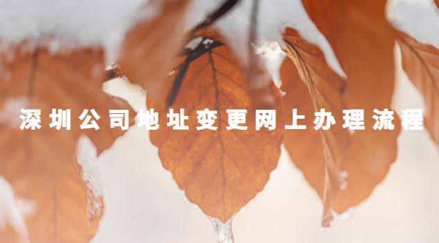 深圳公司地址变更办理流程图解(深圳市变更公司地址网上流程)