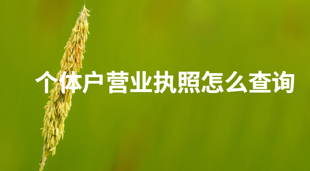 个体户营业执照怎么查询是否真实(个体户营业执照怎么查询支付宝)