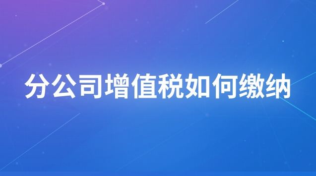 分公司增值税怎么缴纳(分公司增值税如何申报缴纳)