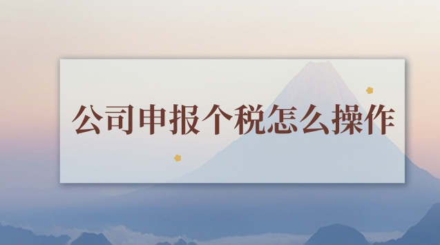 个人申报个税怎么操作(公司申报年度个税怎么操作)