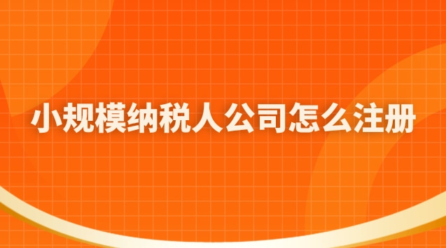 小规模纳税人公司怎么注册(怎么成立小规模纳税人公司)