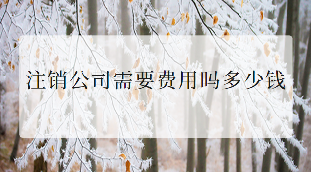 注销公司费用一般多少钱(台商注销公司费用一般多少)