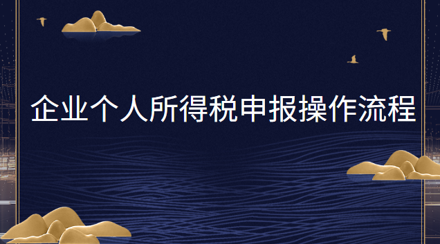 企业个人所得税如何申报操作流程(个人所得税申报流程视频教程)