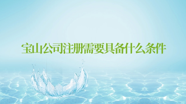 宝山注册公司需要什么资料(宝山区公司注册有什么条件)