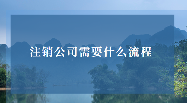 注销公司需要什么流程和费用(公司一般注销公示流程)