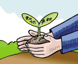 商标续展才是保护商标的优质之选？（已解决）