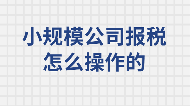 小规模纳税人每月报税操作流程(小规模纳税人网上报税怎么操作)